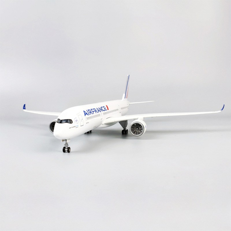 47cm Air France A350 Modelvlie - Model Kit Instructions recensie en prijs