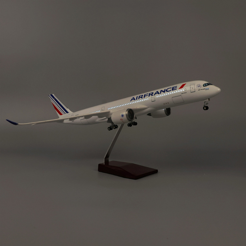 47cm Air France A350 Modelvlie - Model Kit Instructions recensie en prijs
